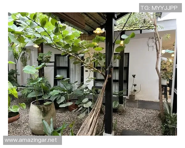 探寻别样风情的民宿之旅 让你在家外感受家的温暖与舒适